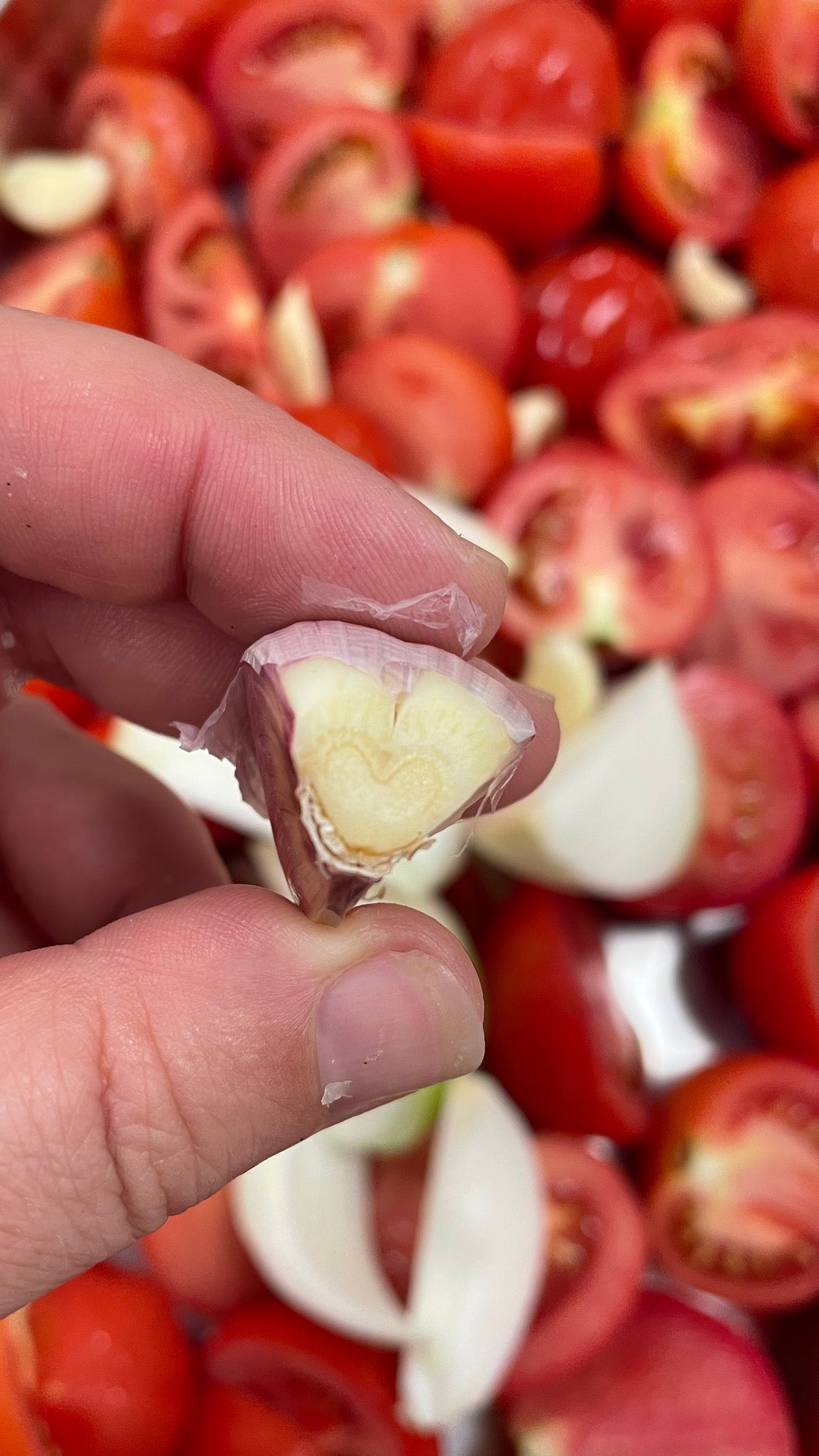 Roasted Tomato & Veg